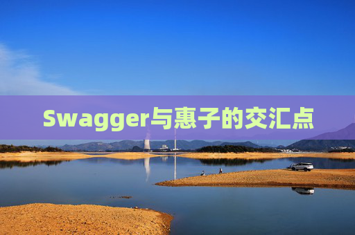 Swagger与惠子的交汇点